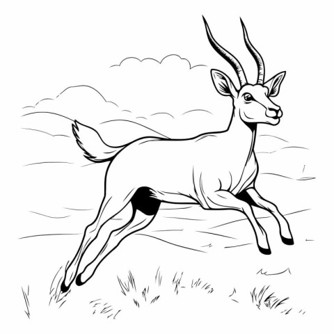 black and white sketch of a gazelle running in the field