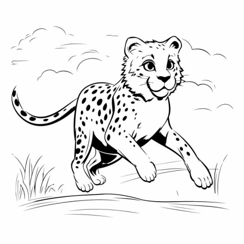 Cheetah running in the field. Black and white vector illustratio