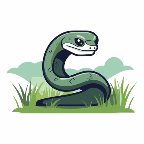 snake in the grass isolated on white background.