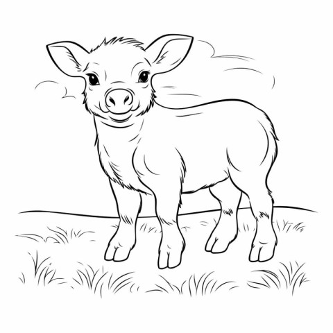 Vector image of a pig on a meadow. Black and white illustration.