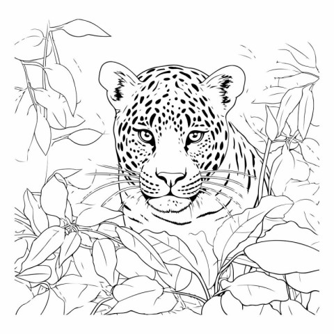 Leopard in the jungle. Black and white vector illustration for c