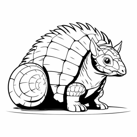 Vector illustration of an old armadillo on a white background.