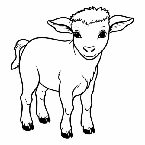 Vector image of a goat on a white background. Farm animal.