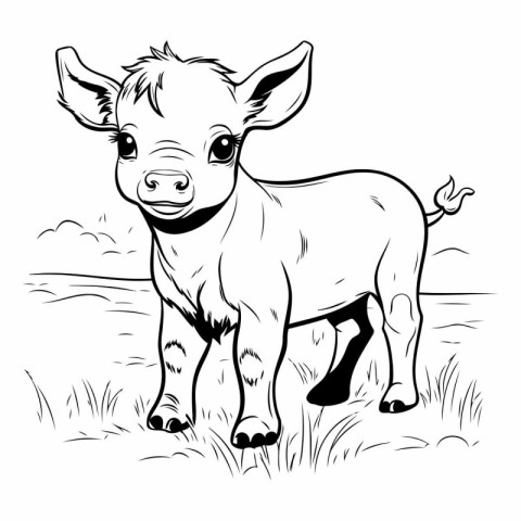 Vector black and white illustration of a little calf standing on