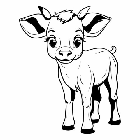 Cute baby cow isolated on a white background.