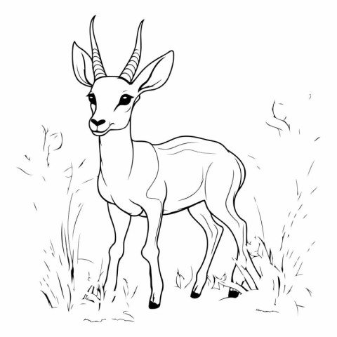 Black and white sketch of a gazelle in the grass.