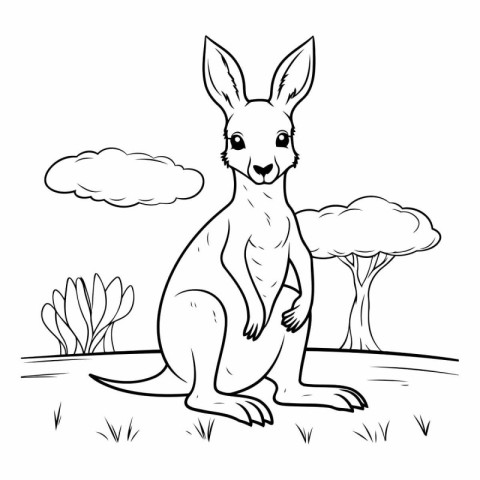 Kangaroo sitting on the grass of a kangaroo.