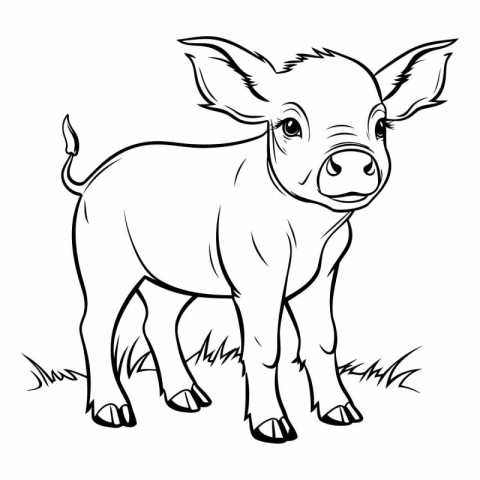 Pig farm animal. Black and white vector illustration for colorin