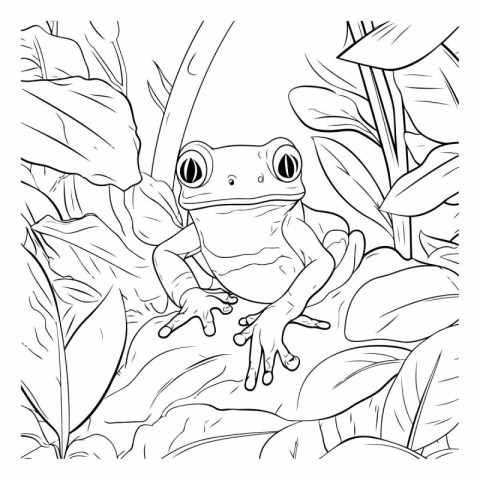 Frog in the jungle. Coloring book for adults