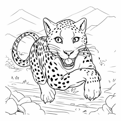 Leopard in the wild. Coloring book for adults.