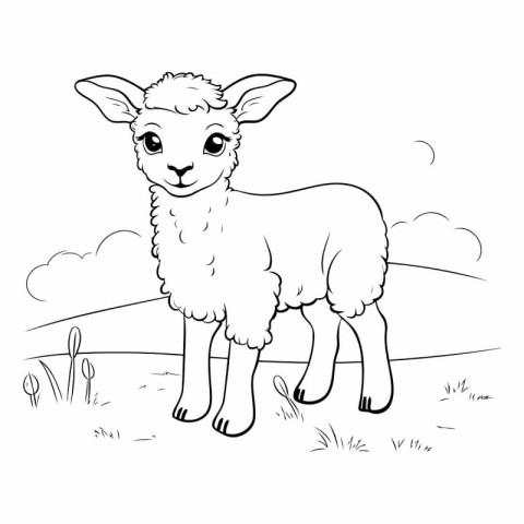 Cute lamb on a meadow for coloring book.