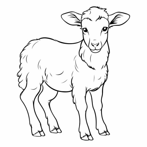 Vector image of a sheep on a white background. Black and white i