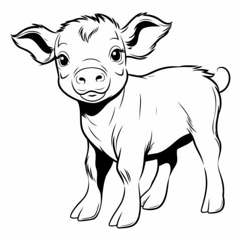 Vector image of a pig on a white background. Black and white ill