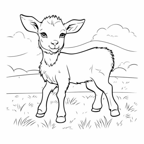 Vector image of a baby goat on the meadow. Coloring book for chi