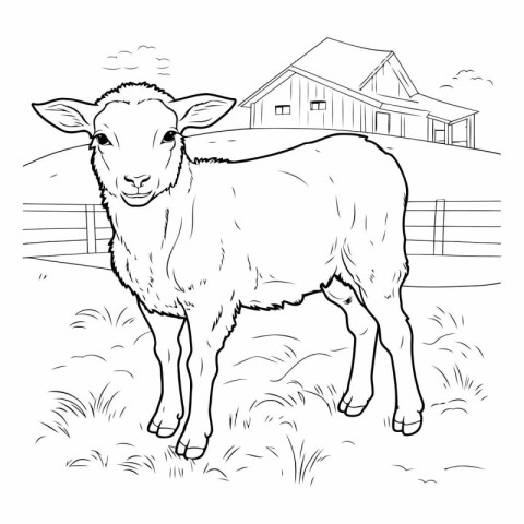 Sheep on the farm. Hand drawn vector illustration for coloring b