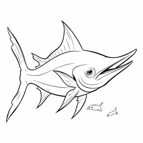 Sketch of a marlin fish on a white background.