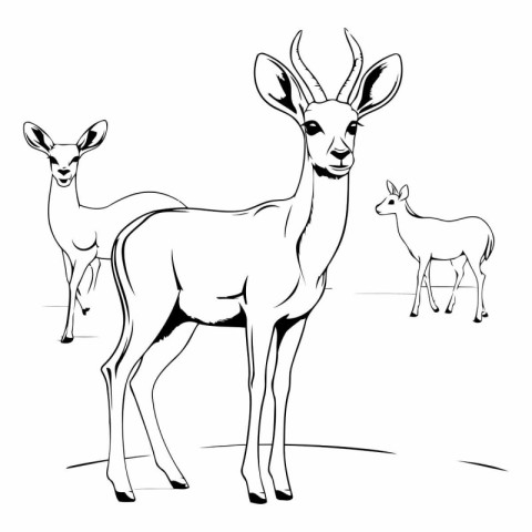 Black and white sketch of a deer and a baby deer