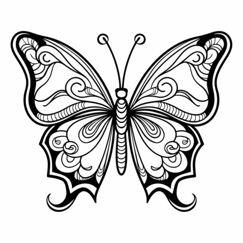 Beautiful butterfly. Black and white vector illustration for col