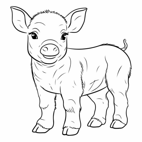 Coloring book for children: Farm animals. Pig