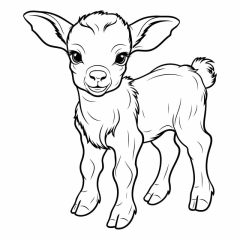 Vector image of a baby goat. Coloring book for children.