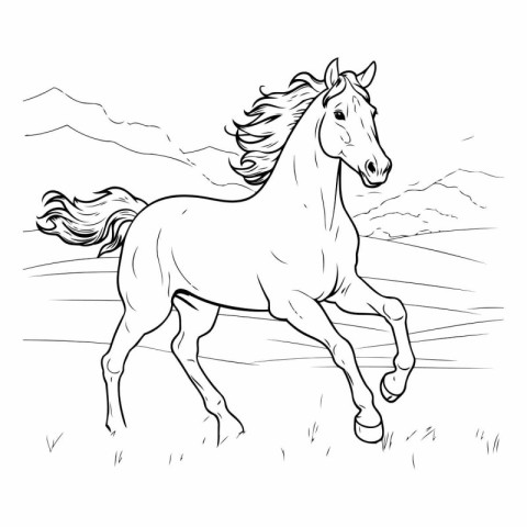 Horse running in the field. Black and white vector illustration.