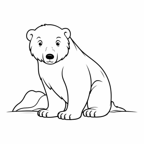 Polar bear. Coloring book for children.