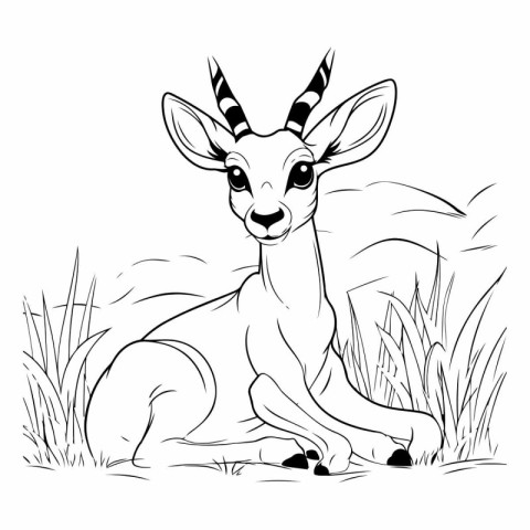 black and white image of antelope sitting in grass