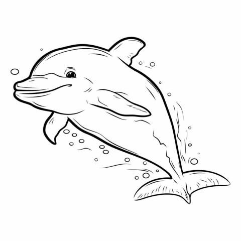Dolphin. Coloring book for children and adults.