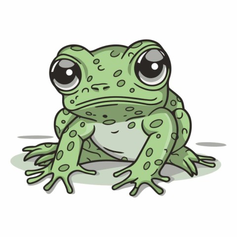 Cute green frog isolated on white background. Vector cartoon ill