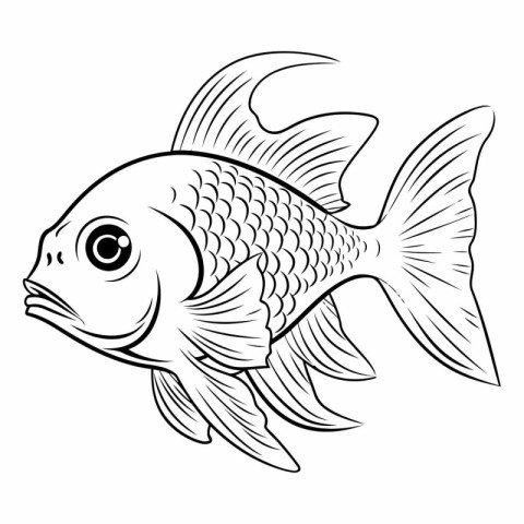 Black and white vector image of a goldfish on a white background