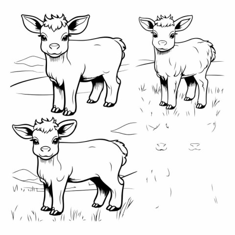 sheep and lambs black and white vector illustration in sketch st