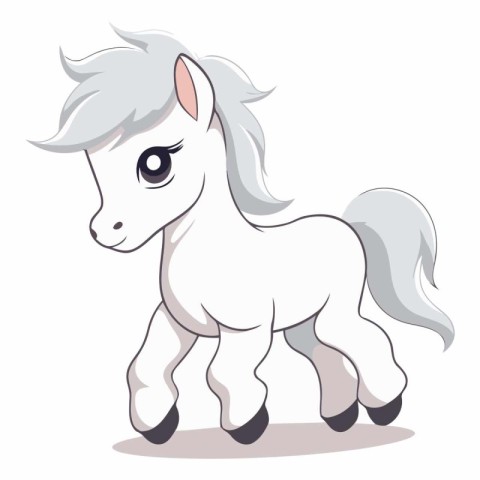 Cute white pony isolated on a white background.