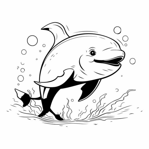 Dolphin jumping out of water. black and white vector illustratio