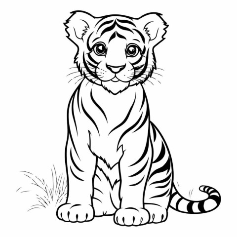 Black and White Tiger Vector Illustration for Coloring Book or T