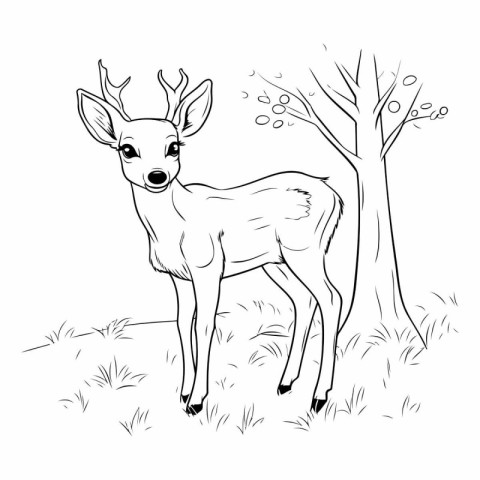 Hand drawn doodle sketch of a deer.