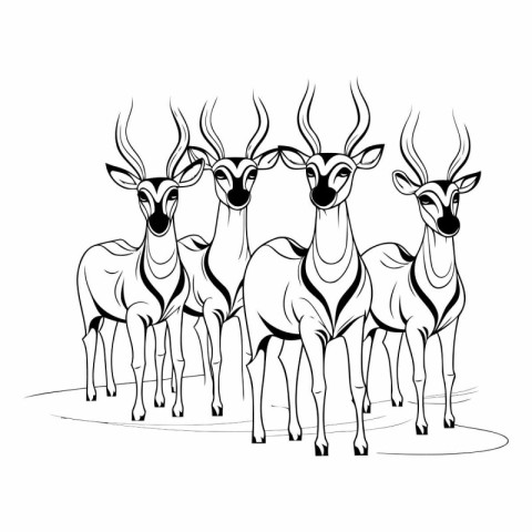 Vector image of a group of antelopes on a white background