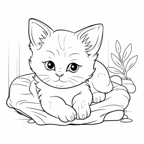 Cute little kitten sitting on a pillow for coloring book.