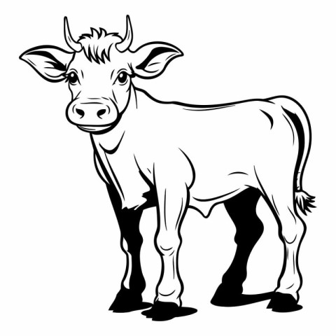 Vector image of a cow on a white background. Black and white ill