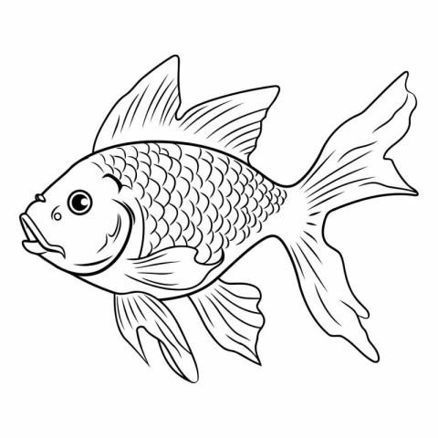 Black and white vector illustration of a goldfish on a white bac