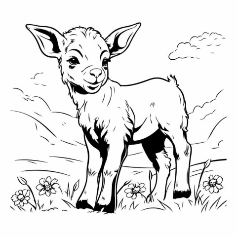 Vector image of a goat on a meadow. Black and white image.