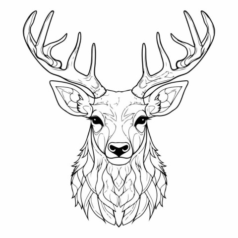 Deer head. Black and white vector illustration for coloring book