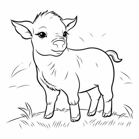 Pig - black and white vector illustration for coloring book or p