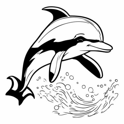 Dolphin jumping out of water. Black and white vector illustratio