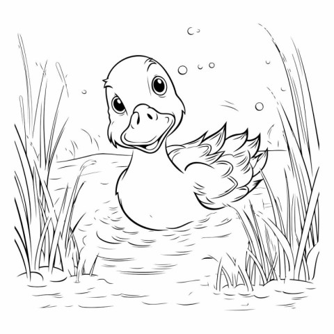 Duck swimming in the pond. Black and white vector illustration.