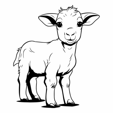 Vector image of a sheep on a white background. Farm animal.