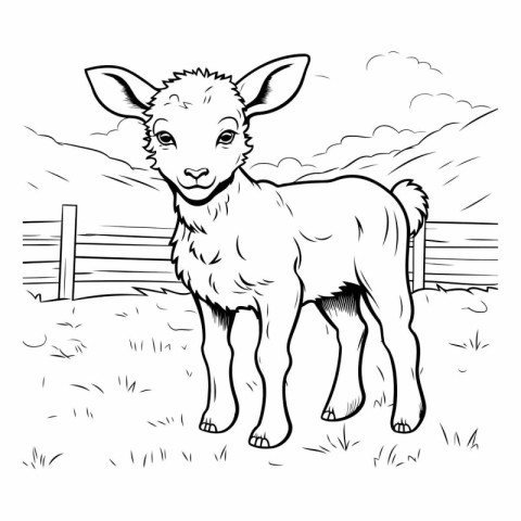 Cute little lamb on the farm. Black and white vector illustratio