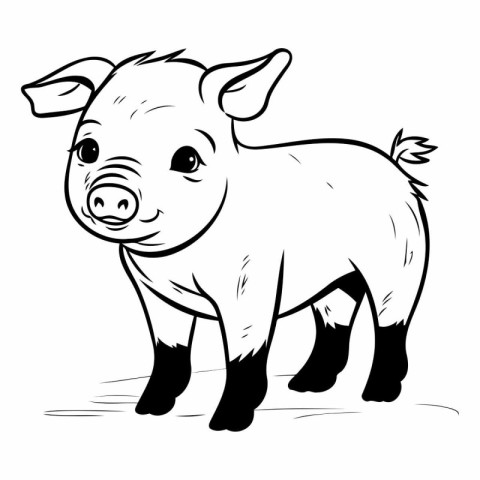 Illustration of a pig on a white background. Farm animal.