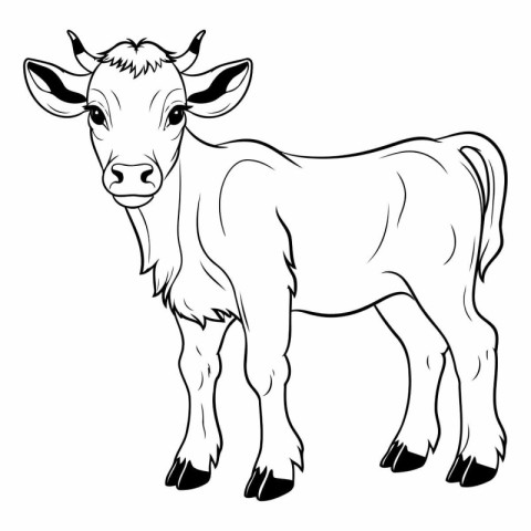 Vector image of a cow on a white background. Farm animal.