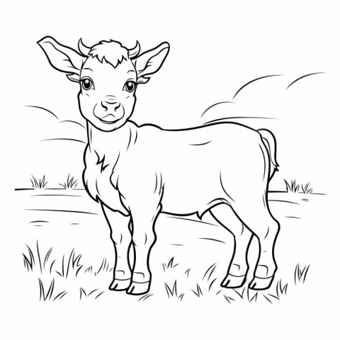 Vector illustration of a cute little goat on a meadow. Coloring