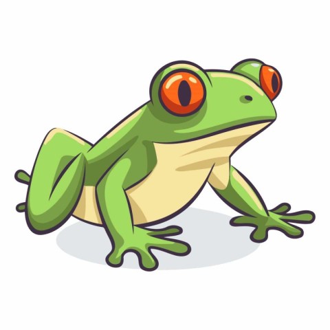 Frog cartoon isolated on a white background for your design